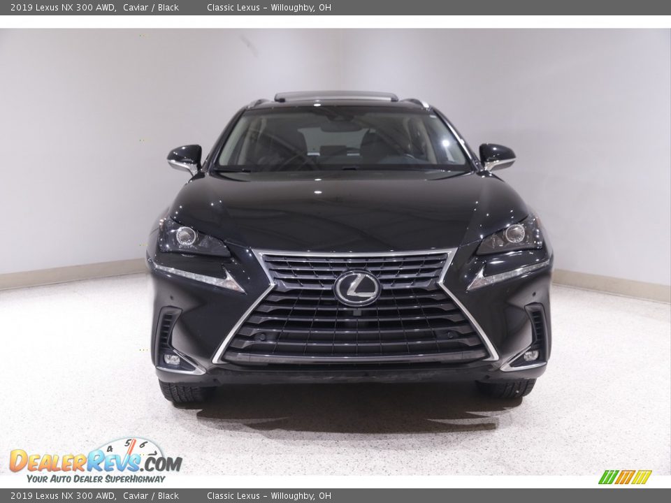 2019 Lexus NX 300 AWD Caviar / Black Photo #2