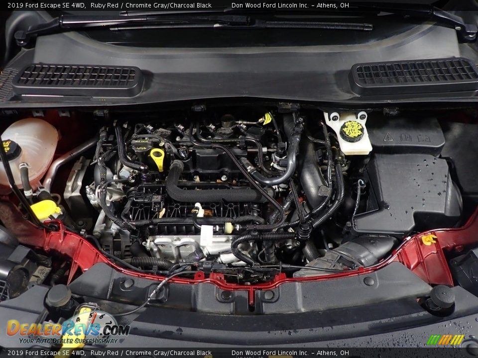 2019 Ford Escape SE 4WD Ruby Red / Chromite Gray/Charcoal Black Photo #7