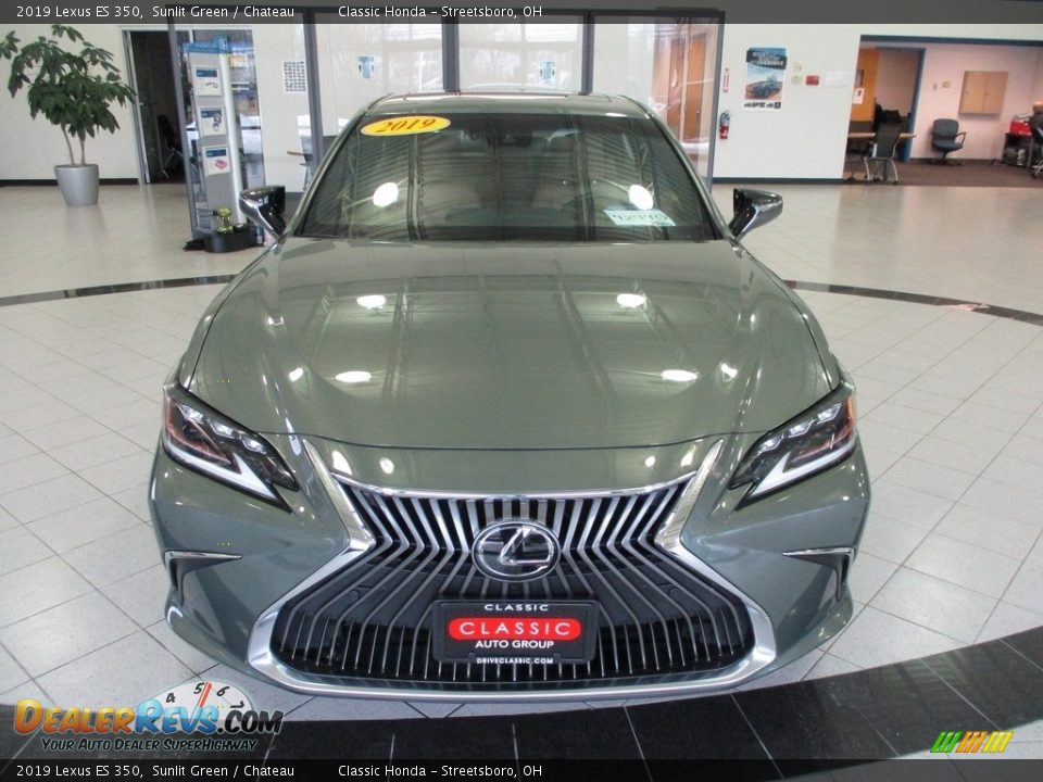 2019 Lexus ES 350 Sunlit Green / Chateau Photo #2