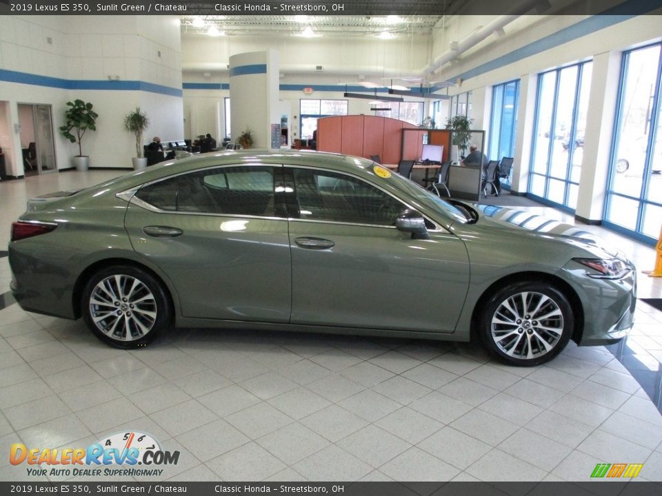 2019 Lexus ES 350 Sunlit Green / Chateau Photo #4