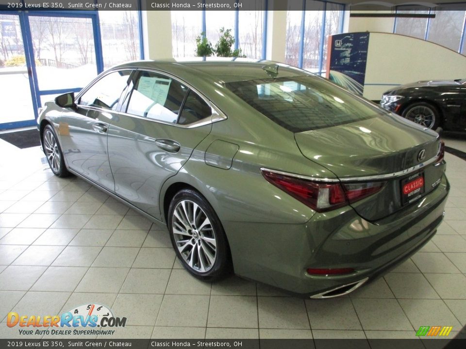 2019 Lexus ES 350 Sunlit Green / Chateau Photo #9