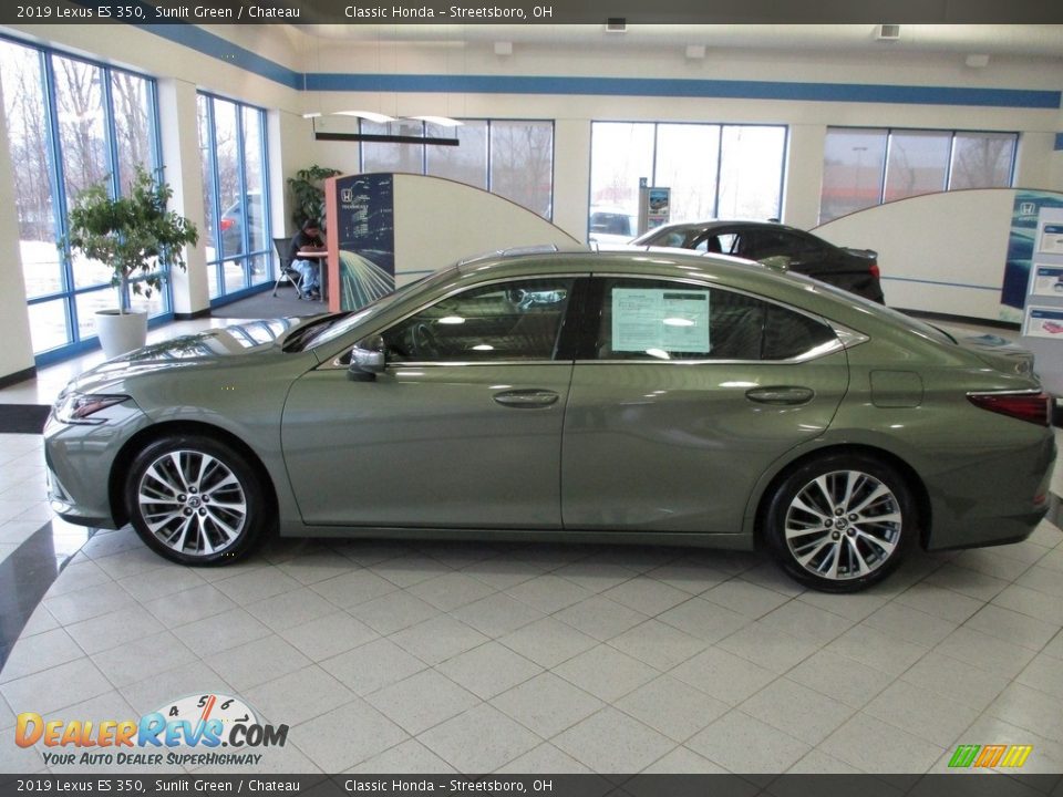 2019 Lexus ES 350 Sunlit Green / Chateau Photo #10