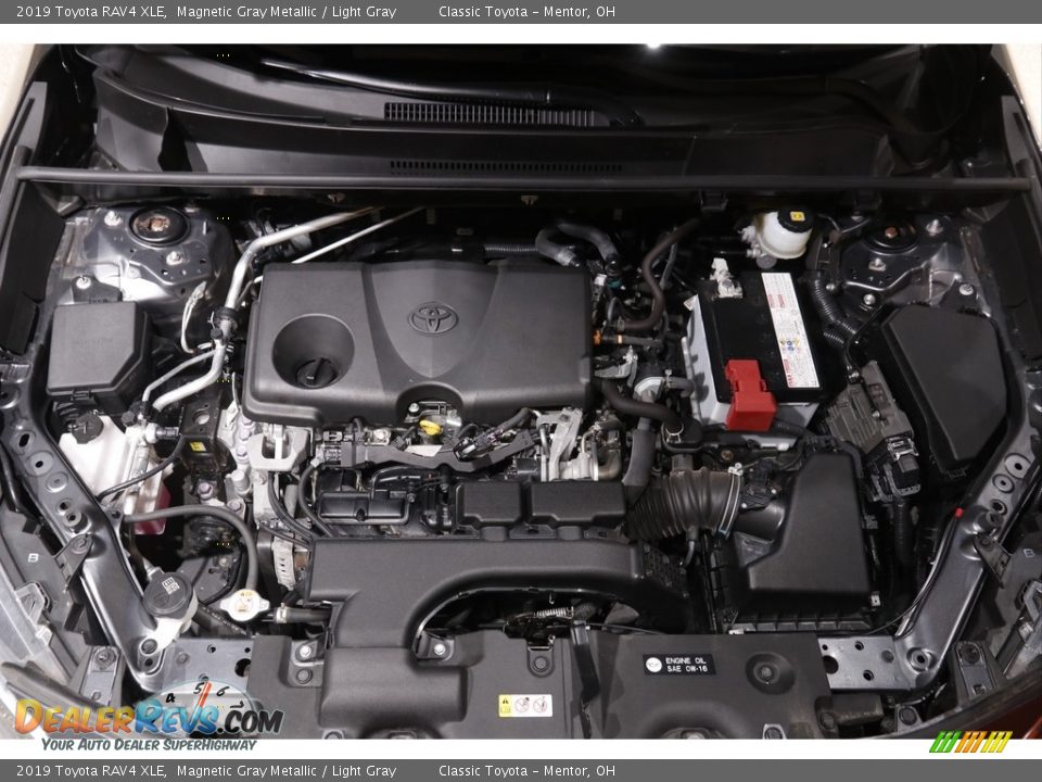 2019 Toyota RAV4 XLE Magnetic Gray Metallic / Light Gray Photo #19