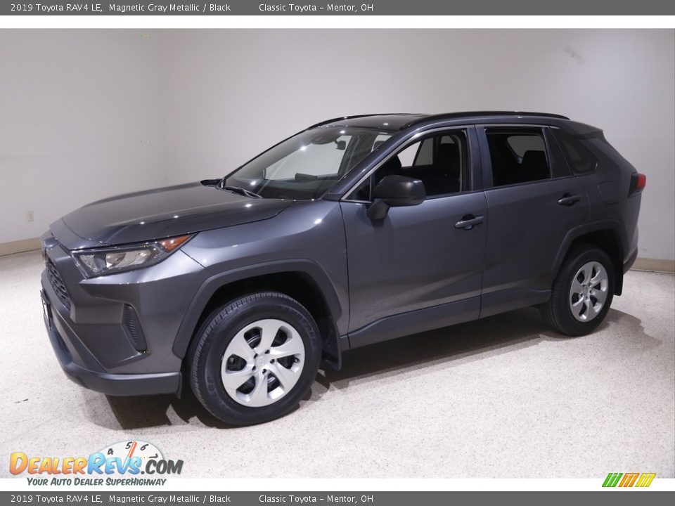 2019 Toyota RAV4 LE Magnetic Gray Metallic / Black Photo #3