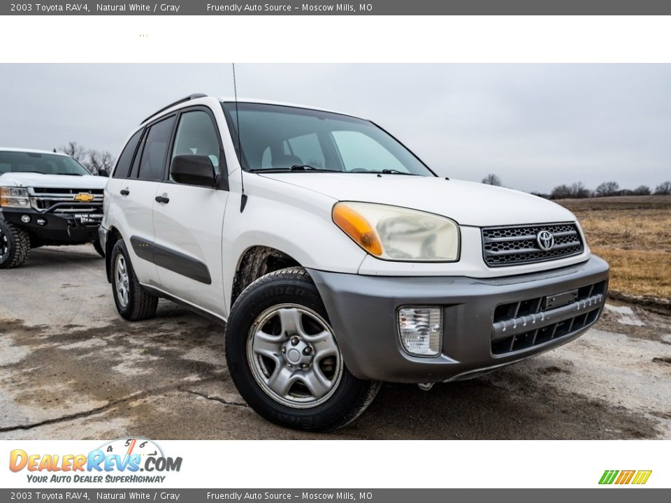 2003 Toyota RAV4 Natural White / Gray Photo #1