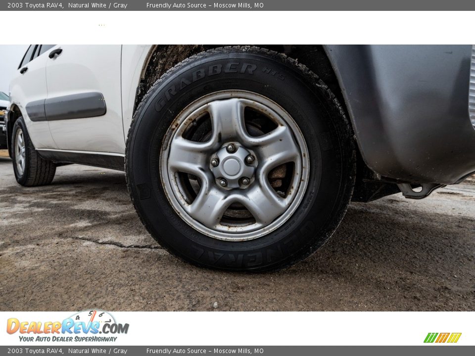 2003 Toyota RAV4 Natural White / Gray Photo #2