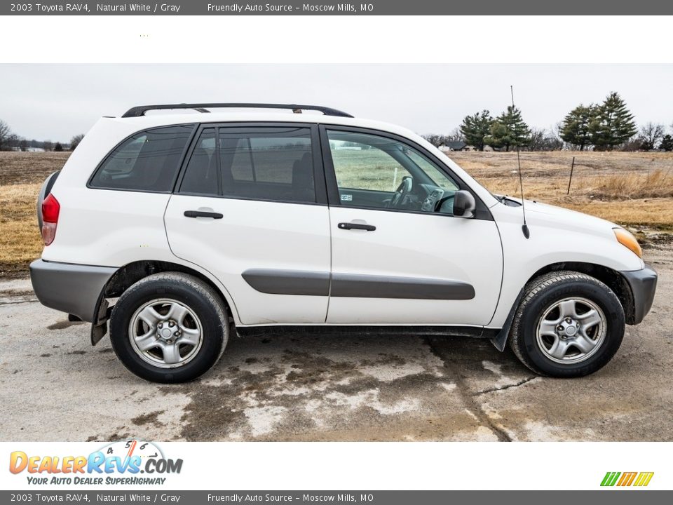 2003 Toyota RAV4 Natural White / Gray Photo #3