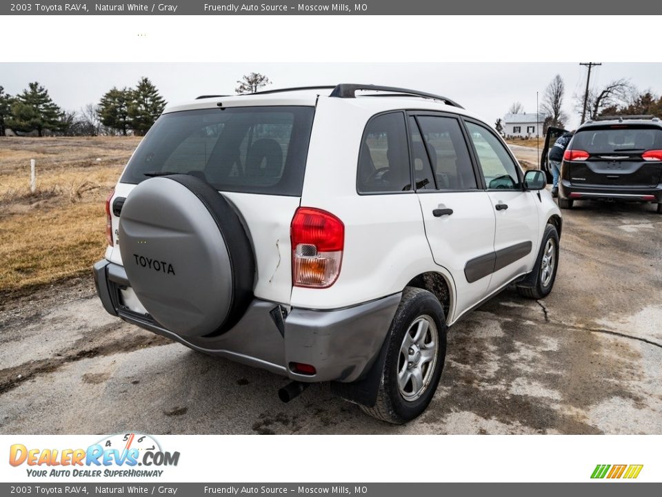 2003 Toyota RAV4 Natural White / Gray Photo #4