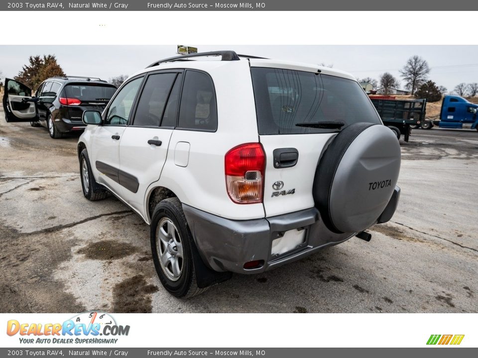 2003 Toyota RAV4 Natural White / Gray Photo #6