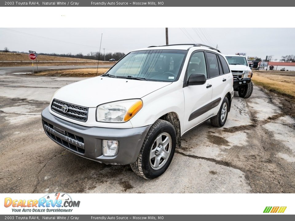 2003 Toyota RAV4 Natural White / Gray Photo #8