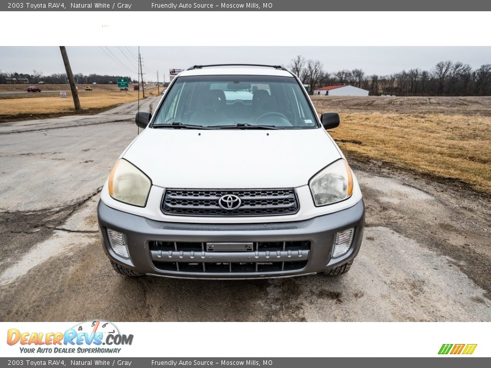 2003 Toyota RAV4 Natural White / Gray Photo #9