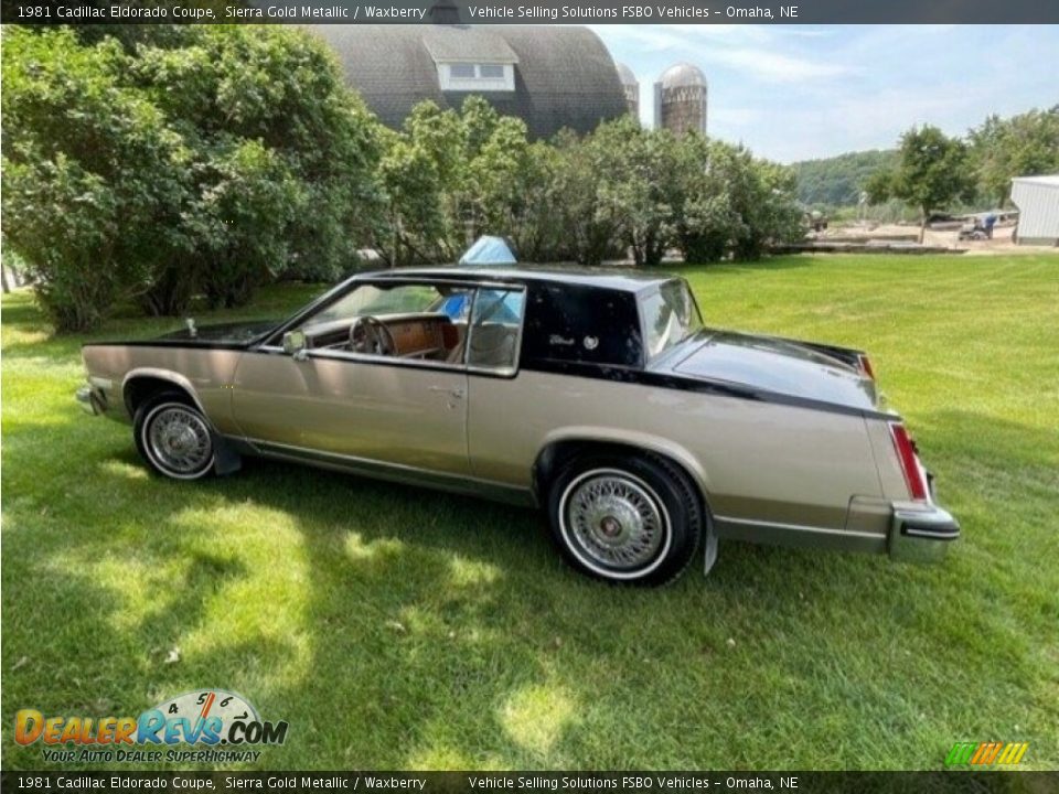 Sierra Gold Metallic 1981 Cadillac Eldorado Coupe Photo #1