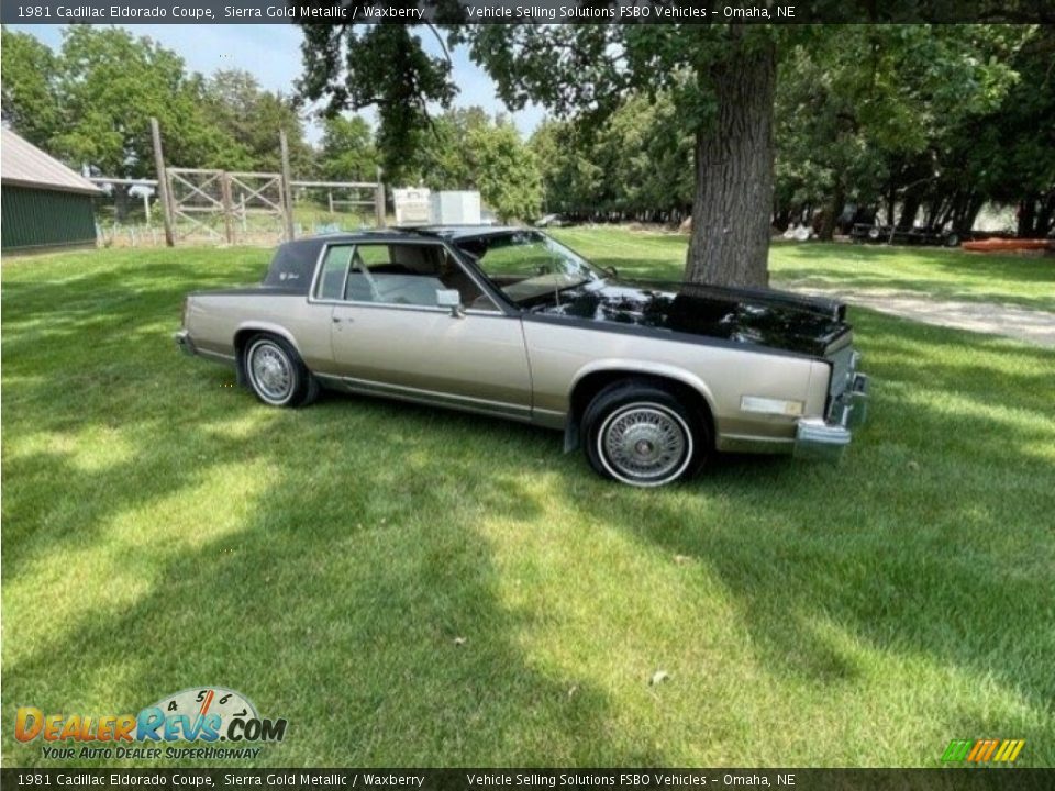 Sierra Gold Metallic 1981 Cadillac Eldorado Coupe Photo #2