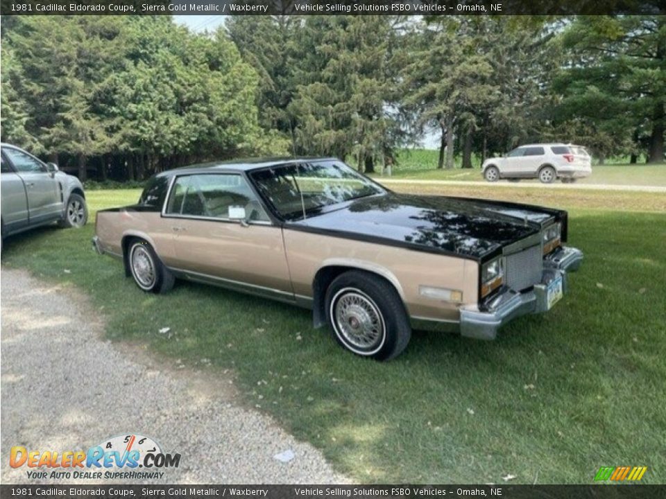 Front 3/4 View of 1981 Cadillac Eldorado Coupe Photo #7