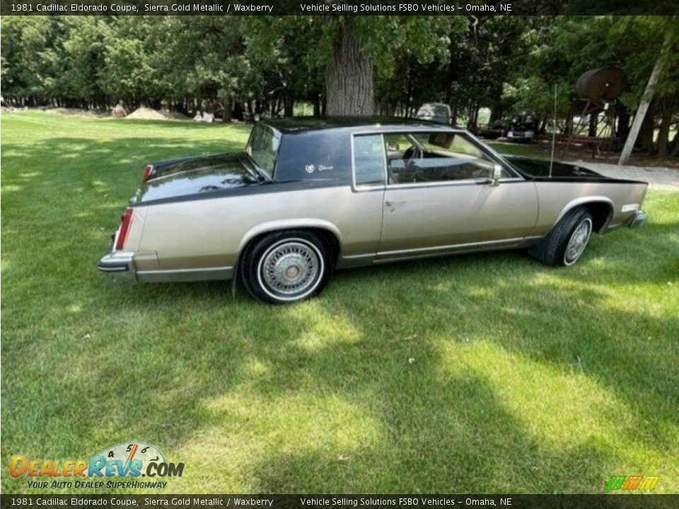 Sierra Gold Metallic 1981 Cadillac Eldorado Coupe Photo #8