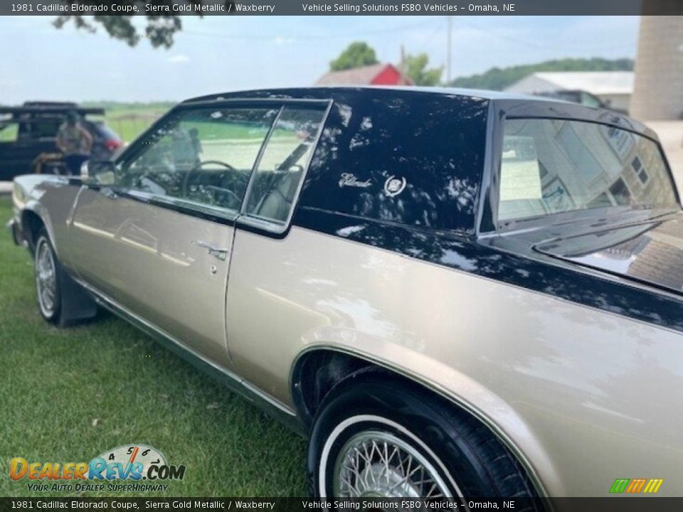 Sierra Gold Metallic 1981 Cadillac Eldorado Coupe Photo #9