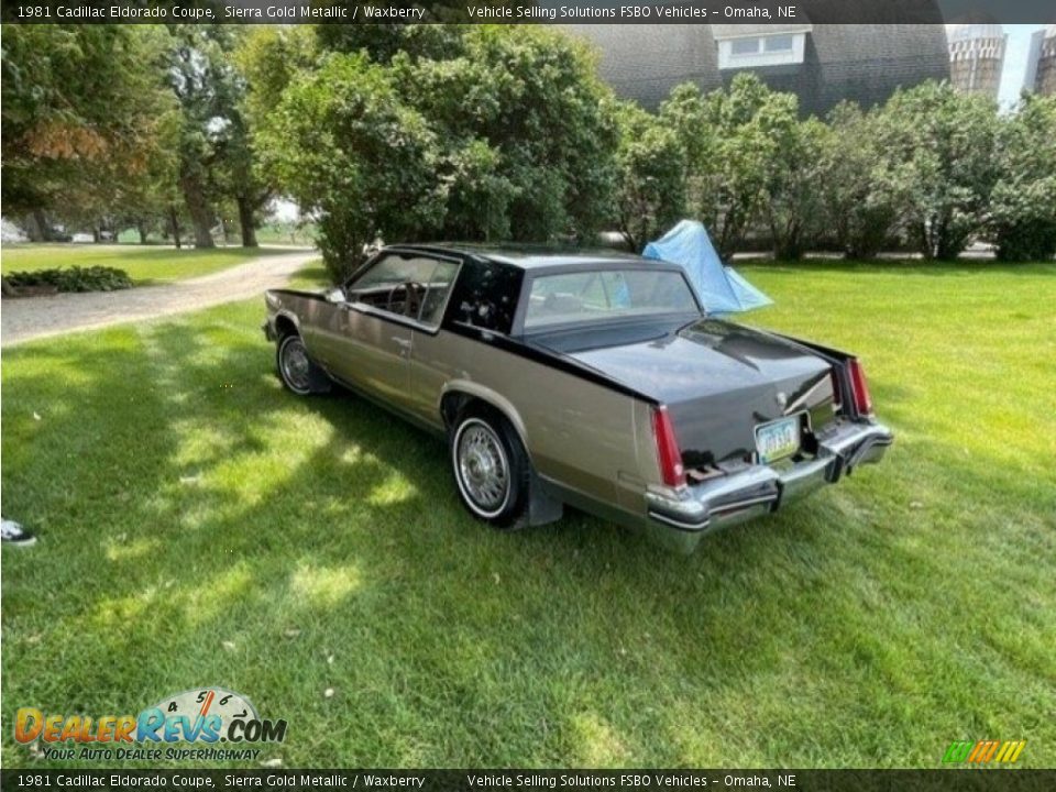 Sierra Gold Metallic 1981 Cadillac Eldorado Coupe Photo #10