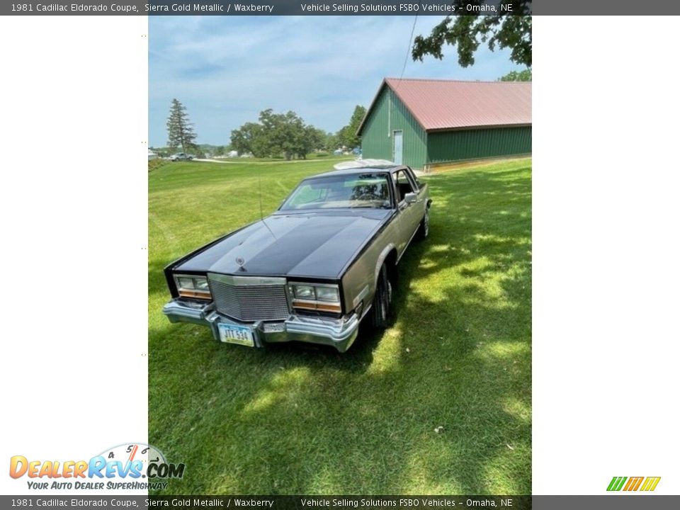1981 Cadillac Eldorado Coupe Sierra Gold Metallic / Waxberry Photo #11
