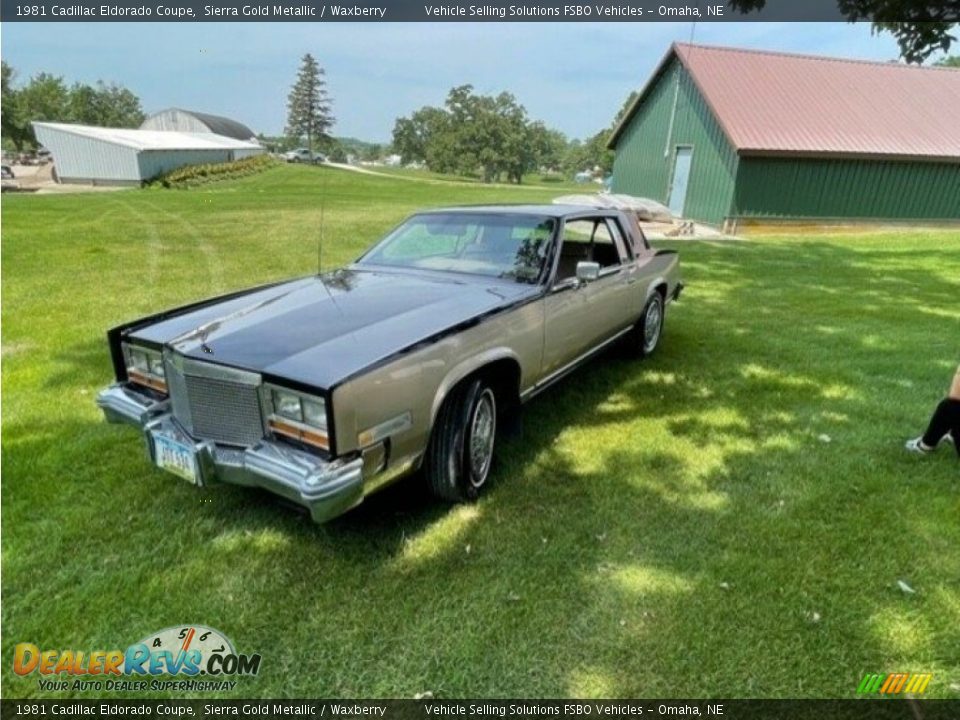 1981 Cadillac Eldorado Coupe Sierra Gold Metallic / Waxberry Photo #12