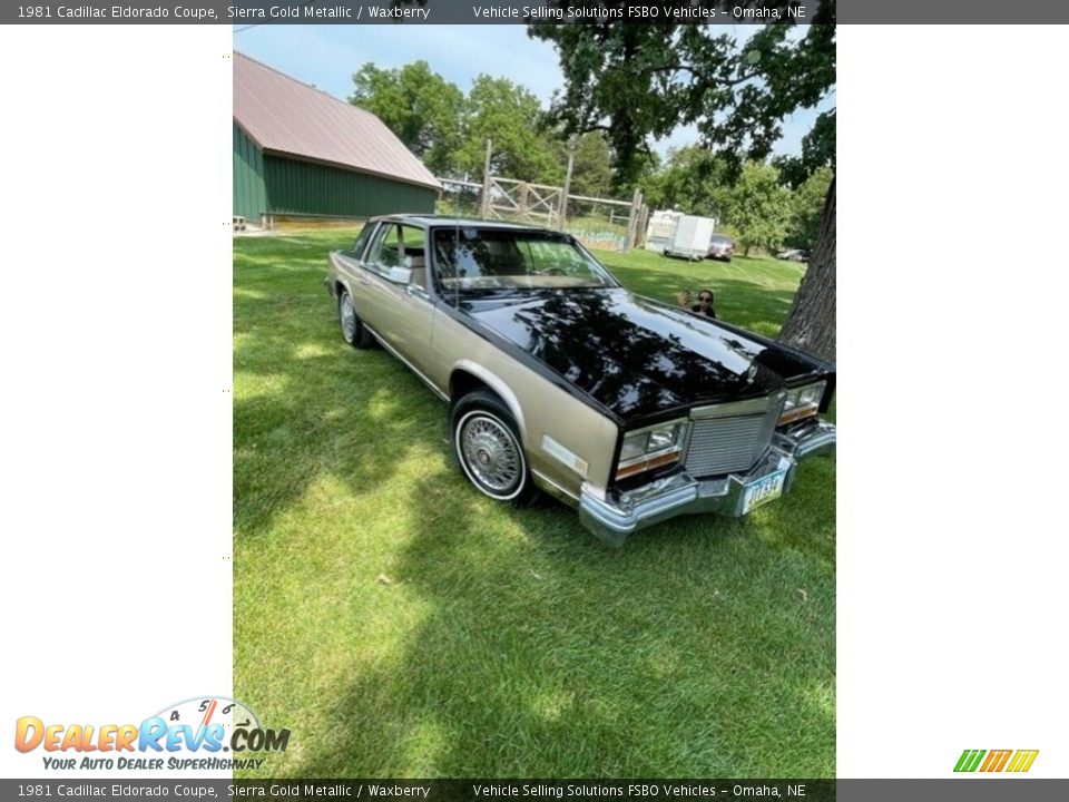 1981 Cadillac Eldorado Coupe Sierra Gold Metallic / Waxberry Photo #13