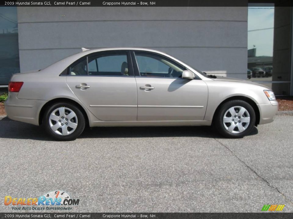 2009 Hyundai Sonata GLS Camel Pearl / Camel Photo #2