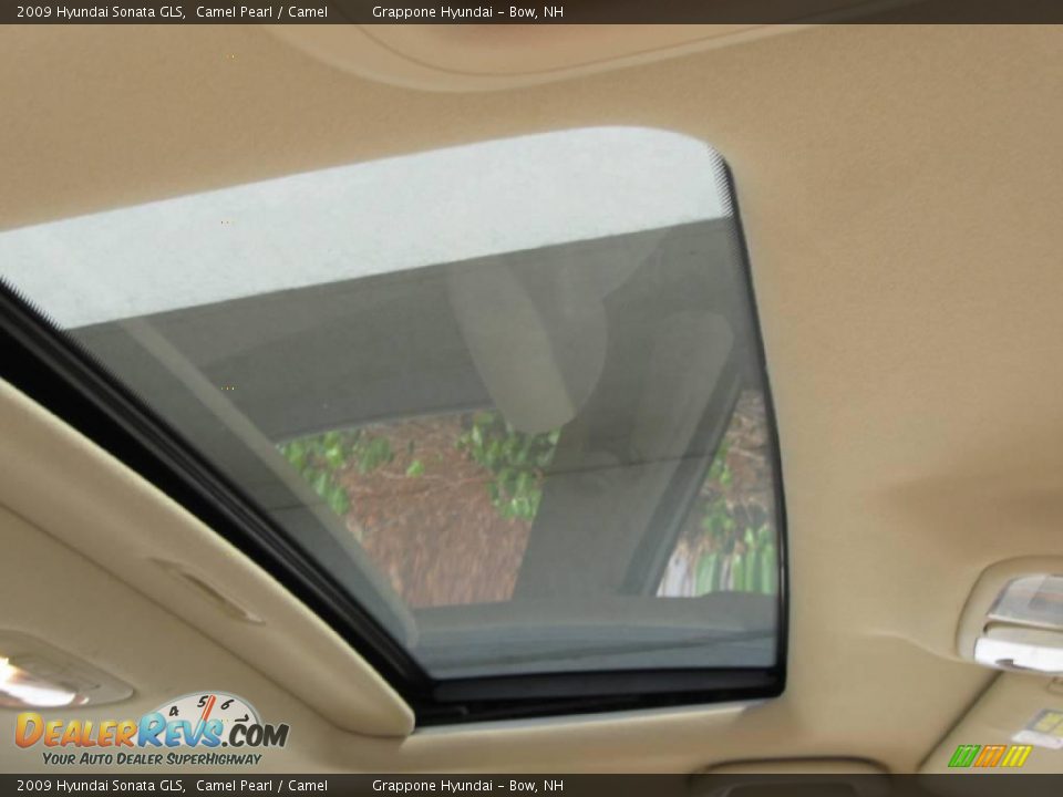 2009 Hyundai Sonata GLS Camel Pearl / Camel Photo #6