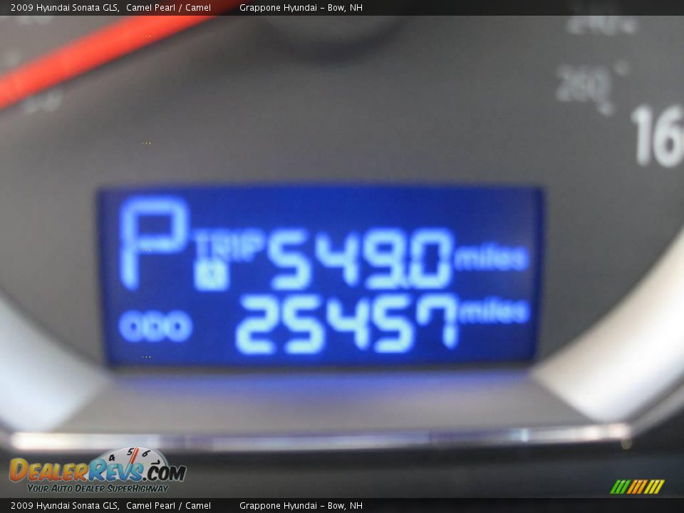 2009 Hyundai Sonata GLS Camel Pearl / Camel Photo #9