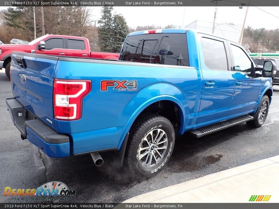 2019 Ford F150 XLT Sport SuperCrew 4x4 Velocity Blue / Black Photo #5