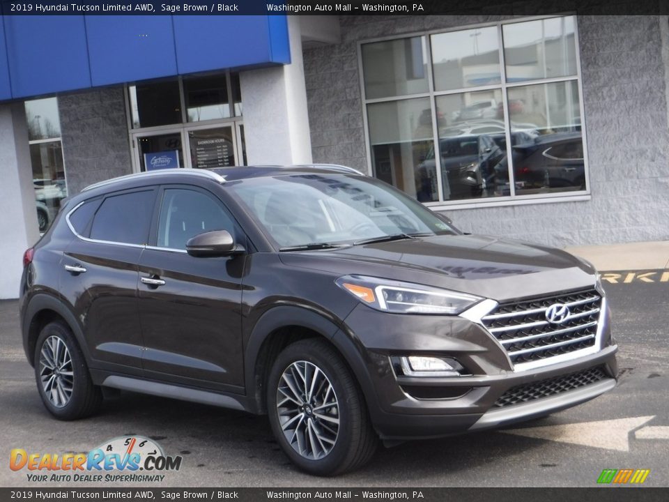 2019 Hyundai Tucson Limited AWD Sage Brown / Black Photo #1