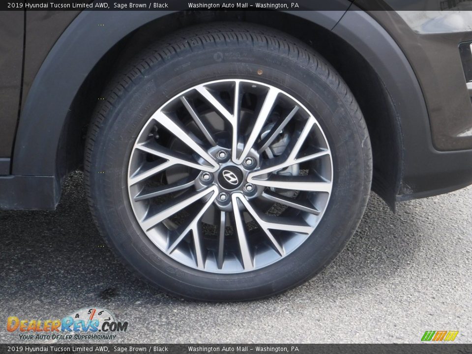 2019 Hyundai Tucson Limited AWD Sage Brown / Black Photo #3