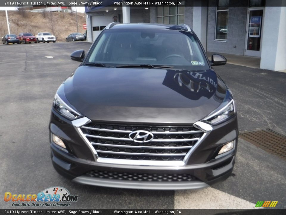 2019 Hyundai Tucson Limited AWD Sage Brown / Black Photo #4