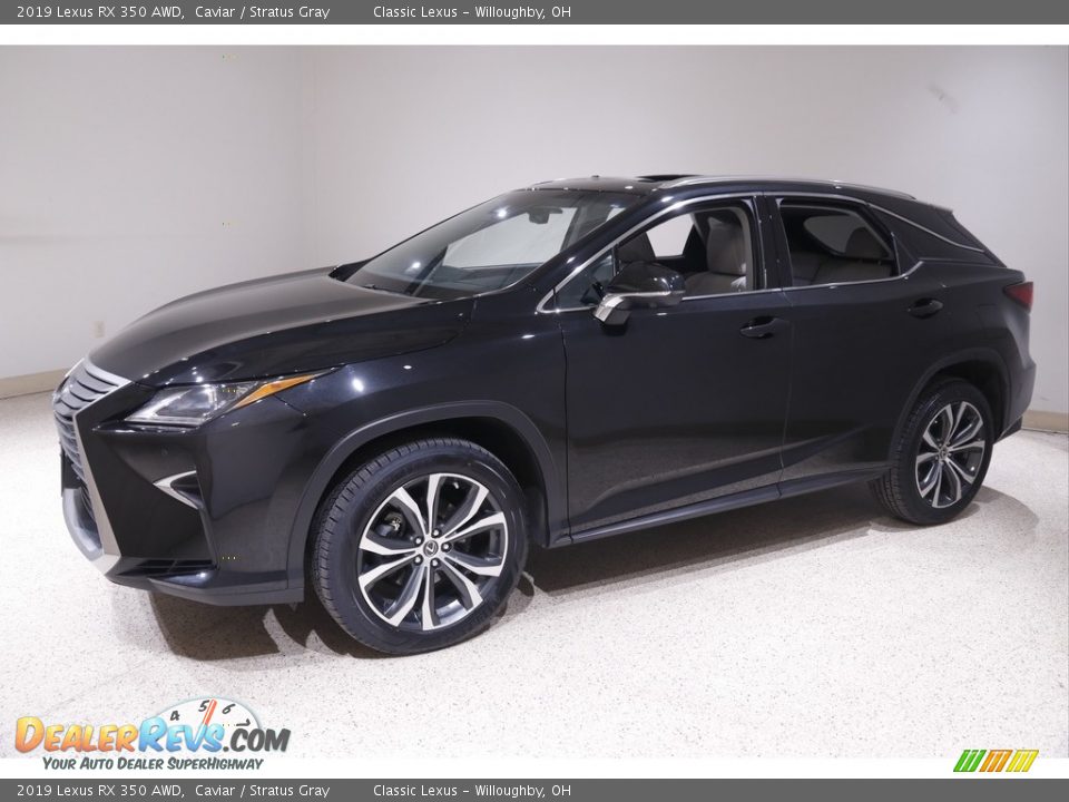 2019 Lexus RX 350 AWD Caviar / Stratus Gray Photo #3