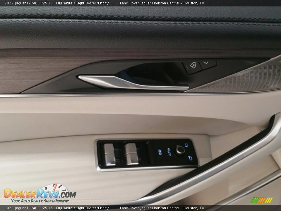 Door Panel of 2022 Jaguar F-PACE P250 S Photo #14