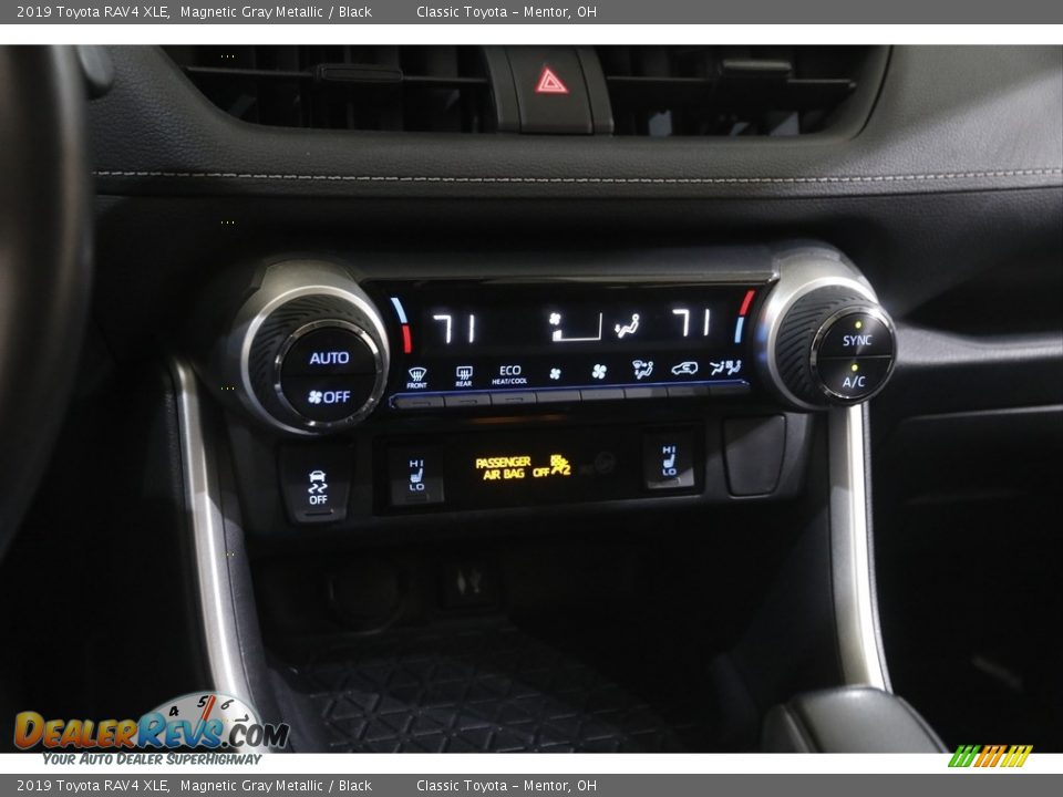 2019 Toyota RAV4 XLE Magnetic Gray Metallic / Black Photo #12