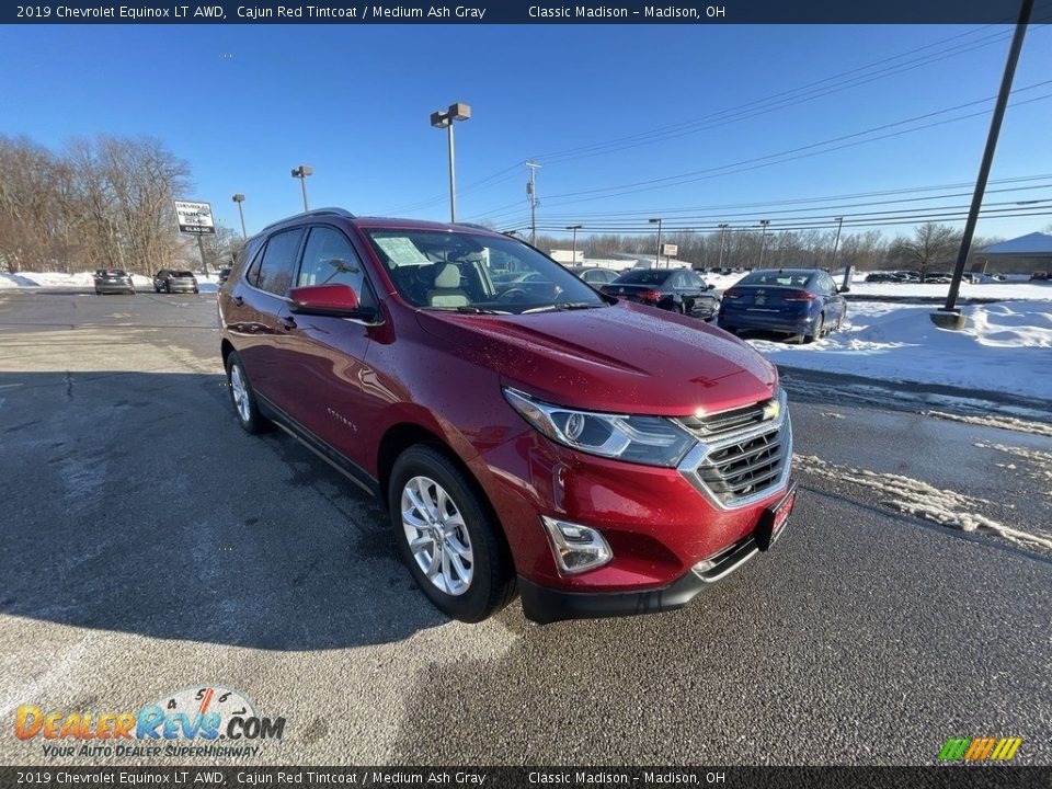 2019 Chevrolet Equinox LT AWD Cajun Red Tintcoat / Medium Ash Gray Photo #5