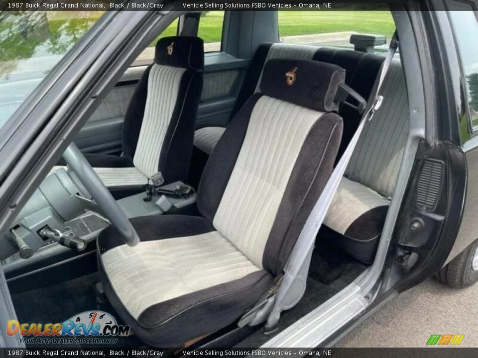 Black/Gray Interior - 1987 Buick Regal Grand National Photo #10