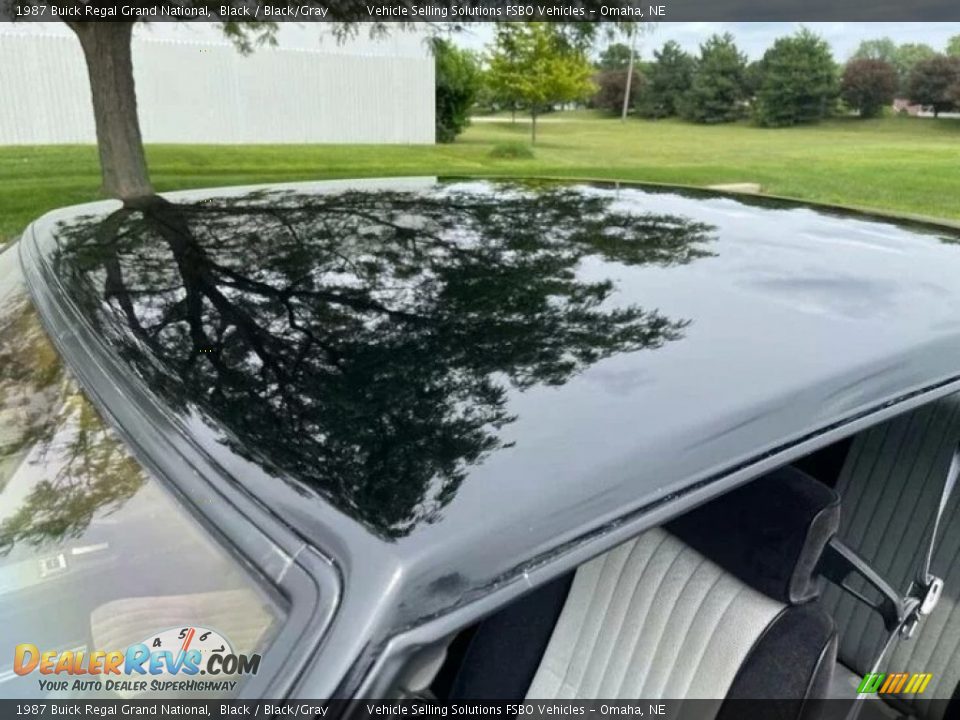 1987 Buick Regal Grand National Black / Black/Gray Photo #17