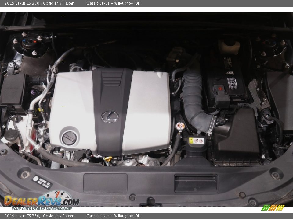 2019 Lexus ES 350 Obsidian / Flaxen Photo #22