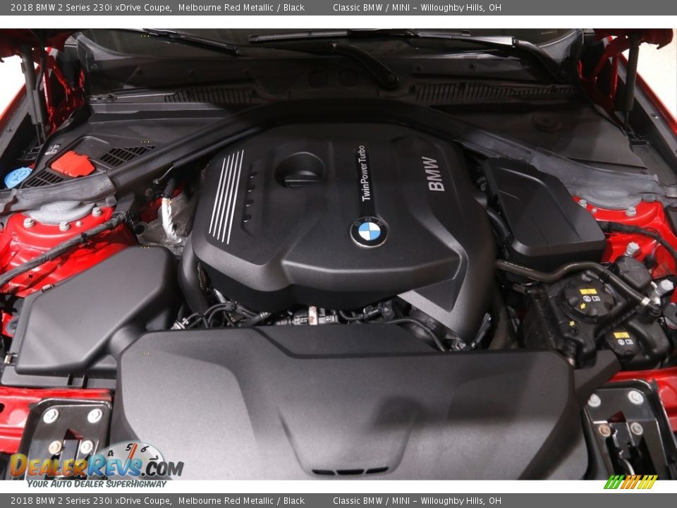 2018 BMW 2 Series 230i xDrive Coupe 2.0 Liter DI TwinPower Turbocharged DOHC 16-Valve VVT 4 Cylinder Engine Photo #20