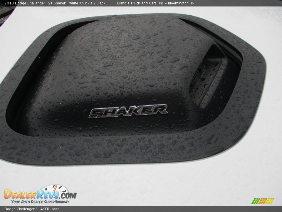 Dodge Challenger SHAKER Hood - 2018 Dodge Challenger