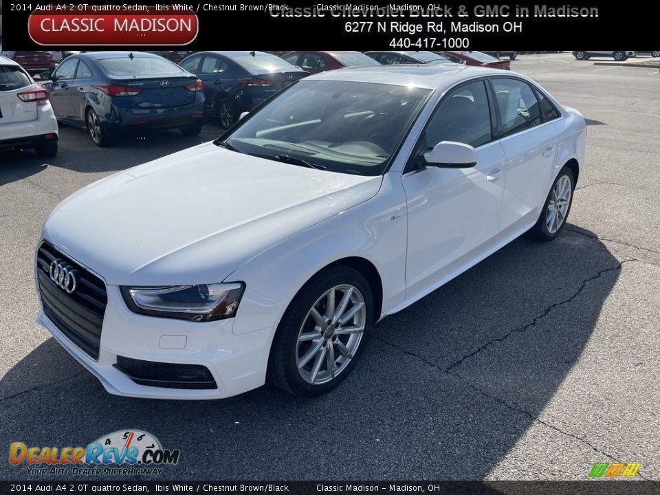 2014 Audi A4 2.0T quattro Sedan Ibis White / Chestnut Brown/Black Photo #1