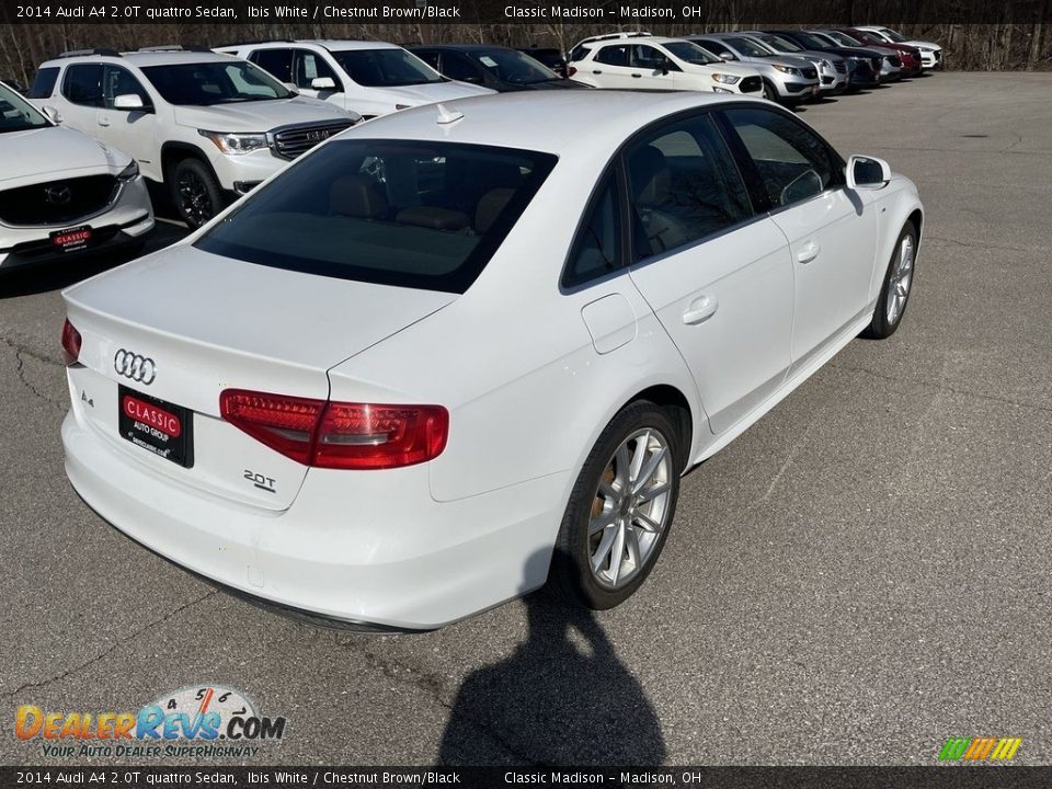 2014 Audi A4 2.0T quattro Sedan Ibis White / Chestnut Brown/Black Photo #4