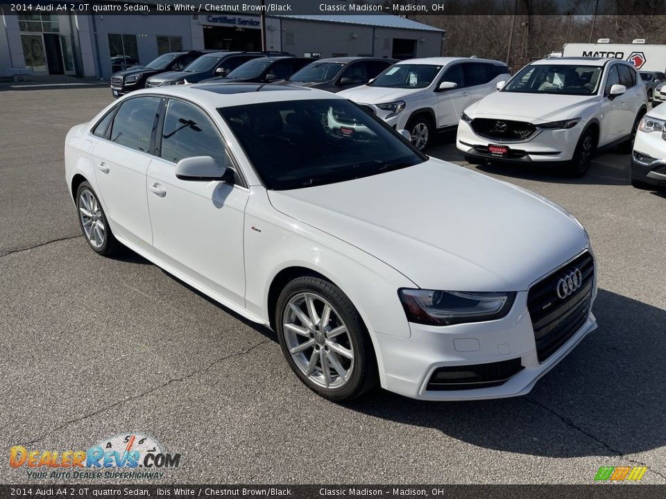 2014 Audi A4 2.0T quattro Sedan Ibis White / Chestnut Brown/Black Photo #5