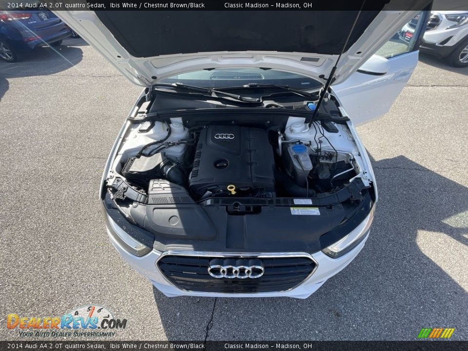 2014 Audi A4 2.0T quattro Sedan Ibis White / Chestnut Brown/Black Photo #6