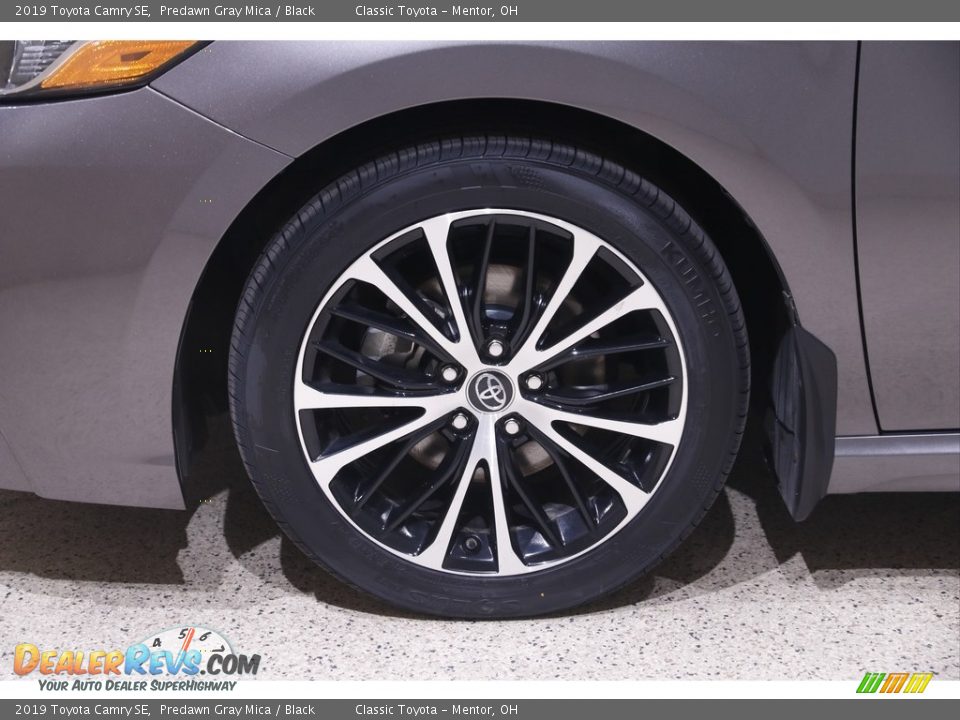 2019 Toyota Camry SE Predawn Gray Mica / Black Photo #18