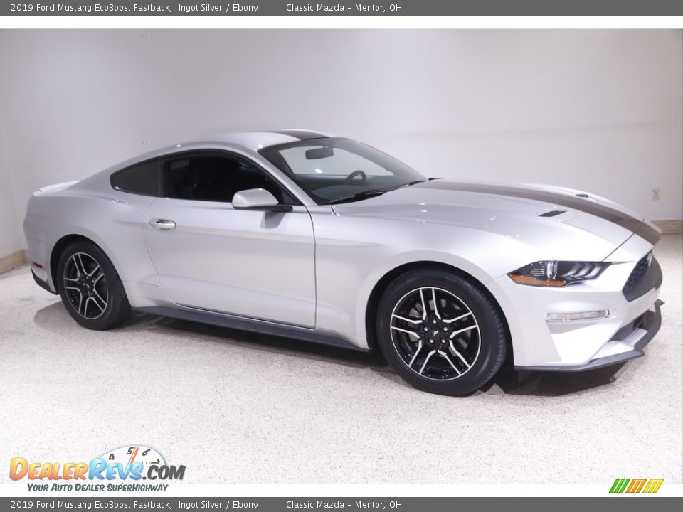 2019 Ford Mustang EcoBoost Fastback Ingot Silver / Ebony Photo #1