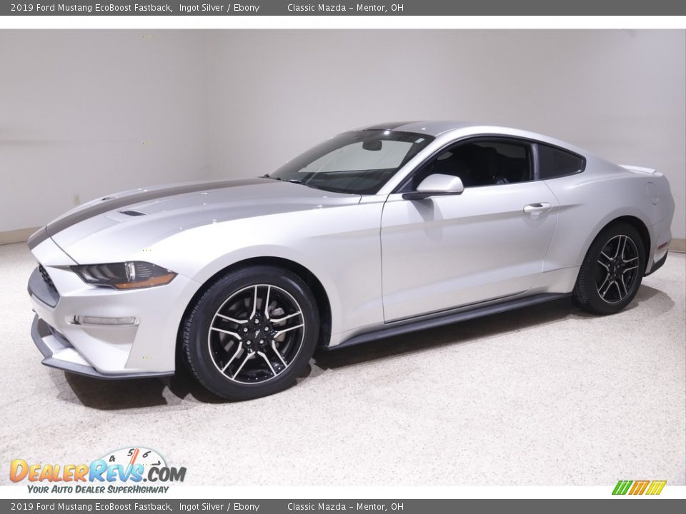 Front 3/4 View of 2019 Ford Mustang EcoBoost Fastback Photo #3