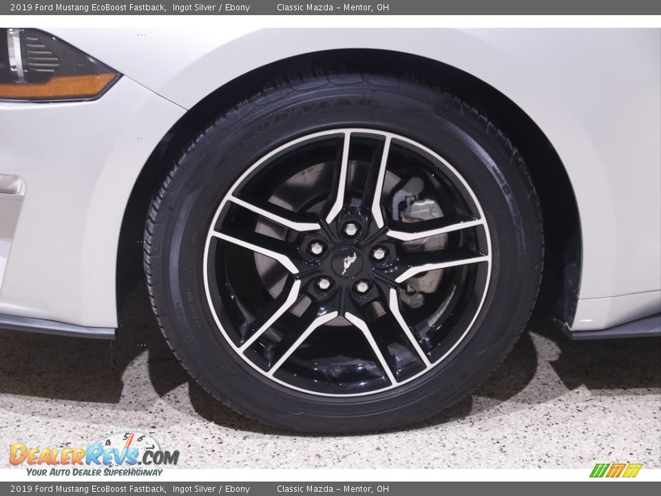 2019 Ford Mustang EcoBoost Fastback Wheel Photo #20