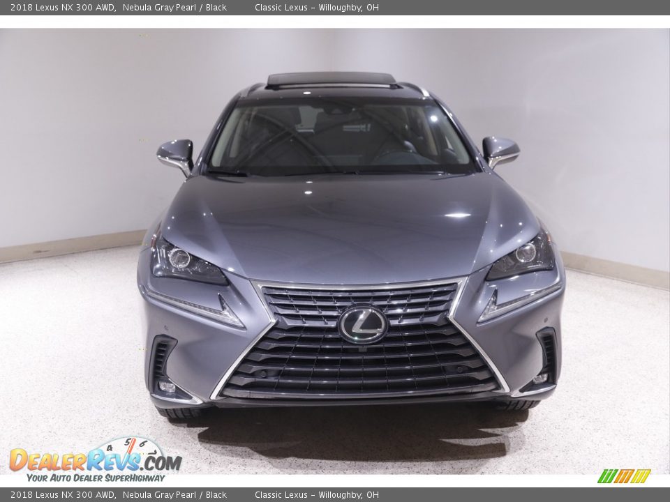 2018 Lexus NX 300 AWD Nebula Gray Pearl / Black Photo #2