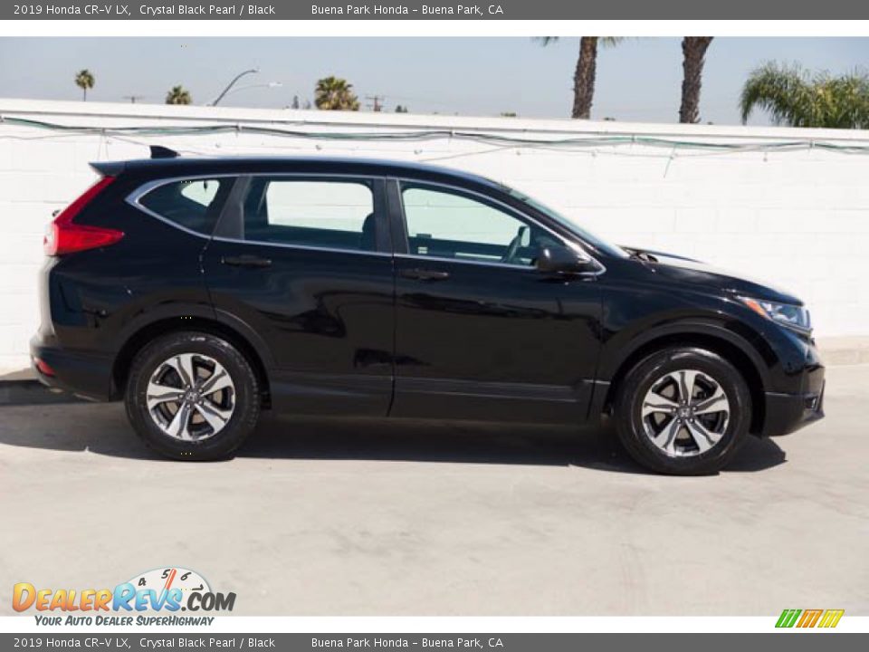 2019 Honda CR-V LX Crystal Black Pearl / Black Photo #12